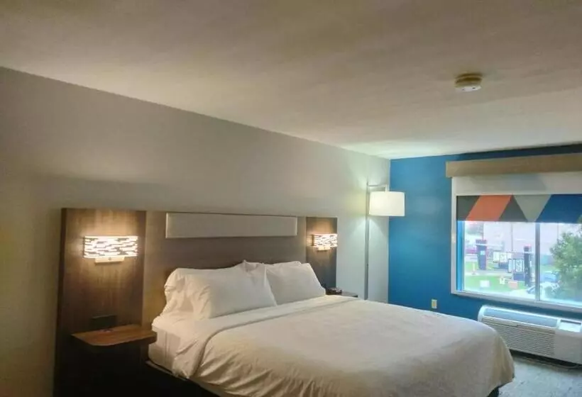 身障者適用キングサイズベッドルーム, Holiday Inn Express Lapeer, An Ihg