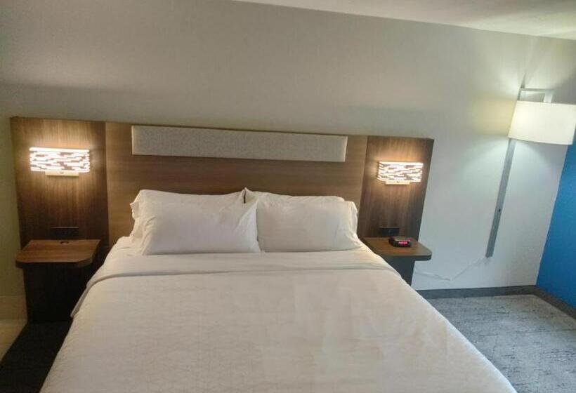 身障者適用キングサイズベッドルーム, Holiday Inn Express Lapeer, An Ihg