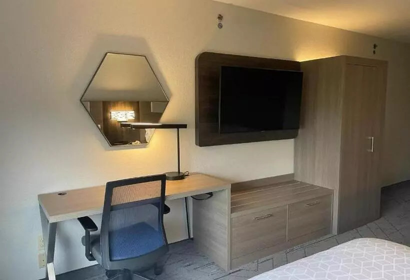 バスタブ付きスタンダードルーム, Holiday Inn Express Lapeer, An Ihg