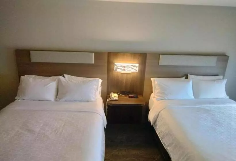 バスタブ付きスタンダードルーム, Holiday Inn Express Lapeer, An Ihg