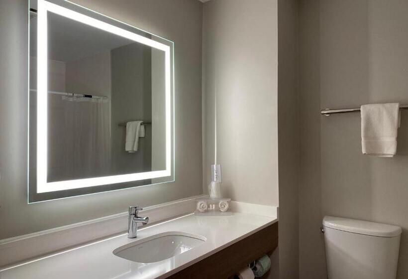 جناح, Holiday Inn Express Plymouth, An Ihg