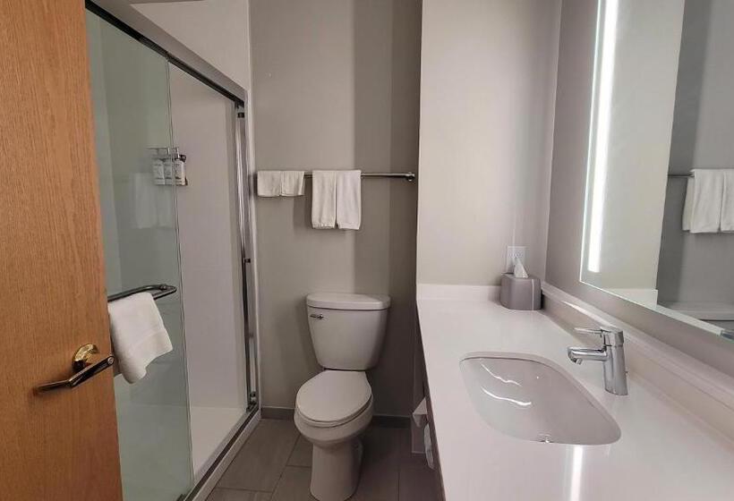 جناح سرير كينج, Holiday Inn Express Plymouth, An Ihg