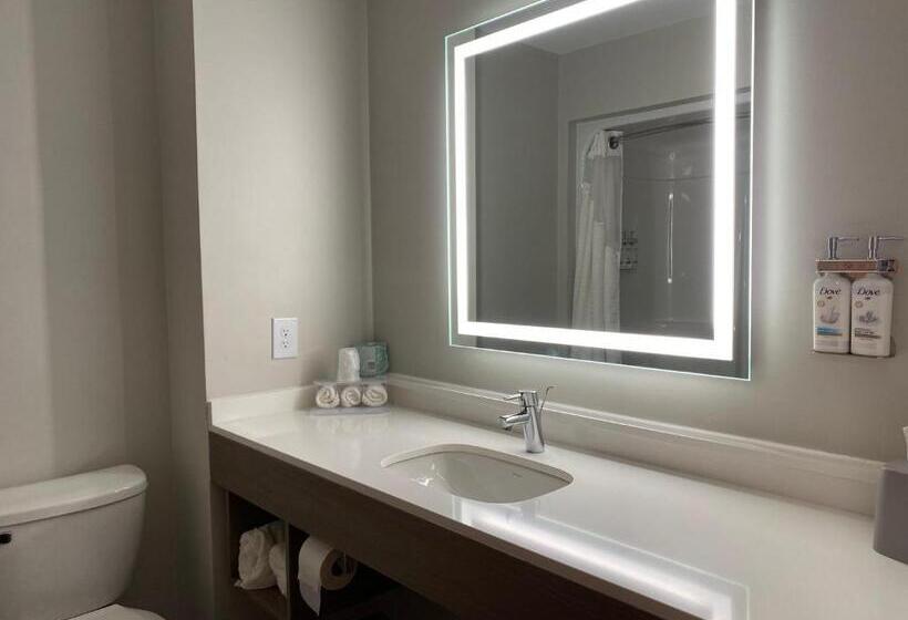 جناح سرير كينج, Holiday Inn Express Plymouth, An Ihg