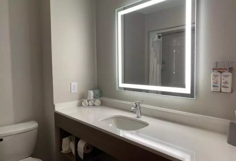 身障者適用スタンダードルーム, Holiday Inn Express Plymouth, An Ihg