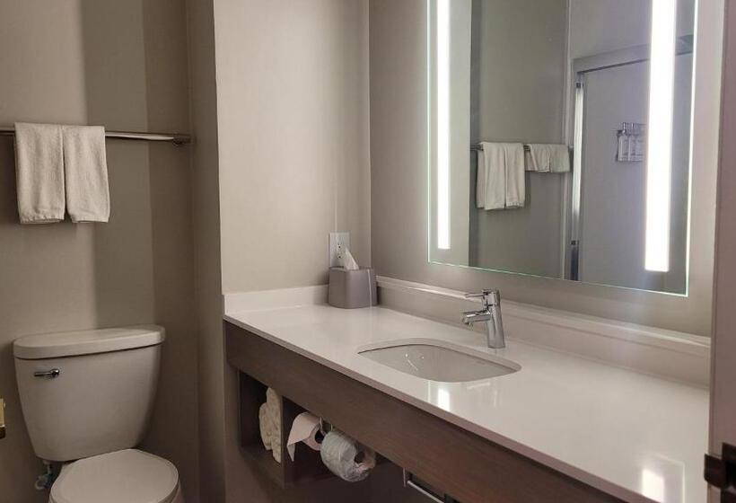 غرفة قياسية لذوى الاحتياجات الخاصة, Holiday Inn Express Plymouth, An Ihg