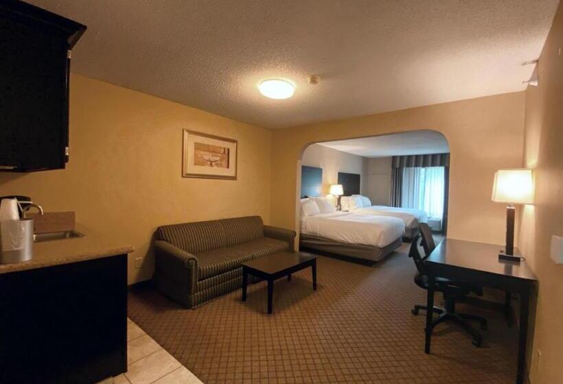 إستوديو قياسى, Holiday Inn Express Plymouth, An Ihg