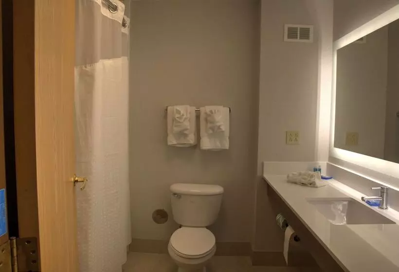 Standard-huone, Holiday Inn Express Rochelle, An Ihg