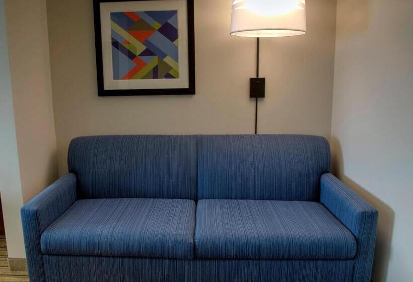 キングサイズベッドのエクゼクティブルーム, Holiday Inn Express Rochelle, An Ihg