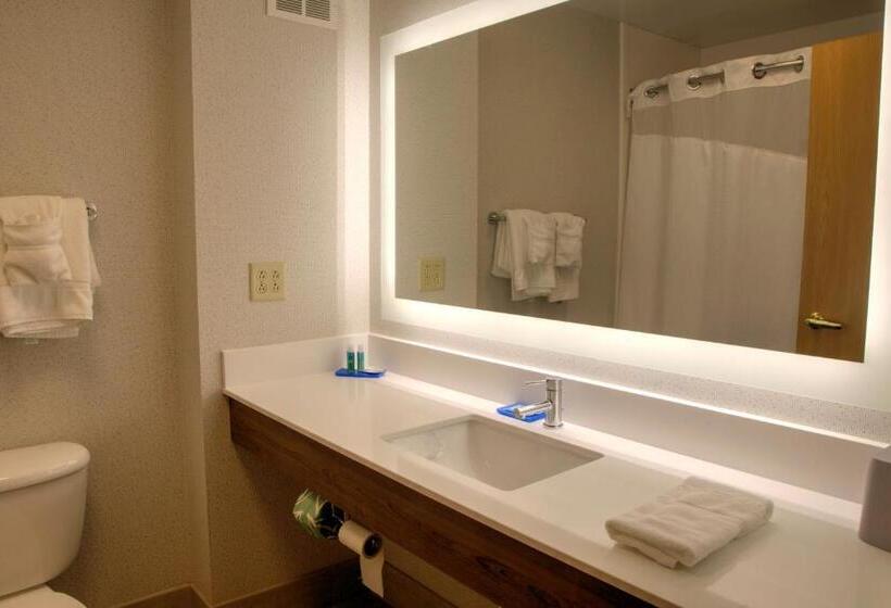 スタンダードルーム, Holiday Inn Express Rochelle, An Ihg