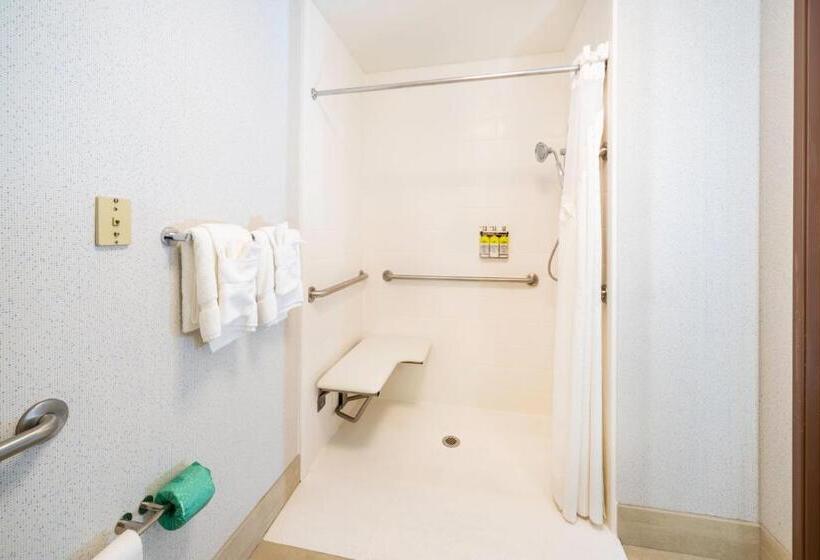 스탠다드 룸, Holiday Inn Express Rochelle, An Ihg