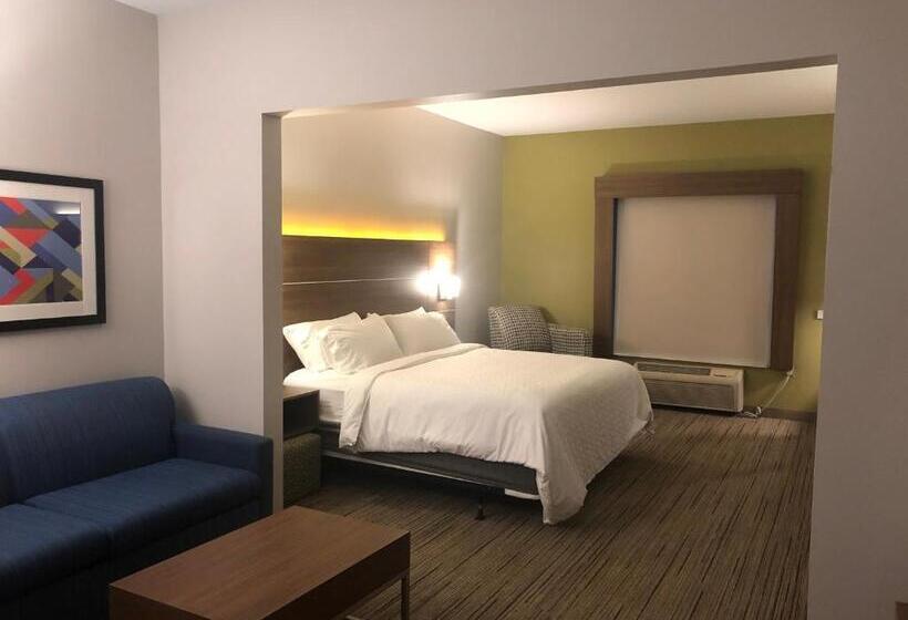 장애인용 디럭스룸, Holiday Inn Express Rochelle, An Ihg