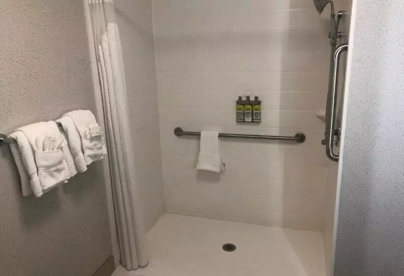 Deluxe-huone Soveltuu Liikuntarajoitteisille, Holiday Inn Express Rochelle, An Ihg