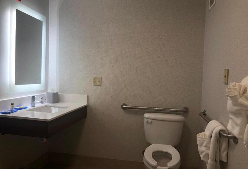 障害者適応デラックスルーム, Holiday Inn Express Rochelle, An Ihg