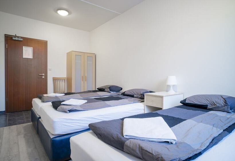 اتاق استاندارد سه تخته با سرویس بهداشتی مشترک, Guesthouse Pavi