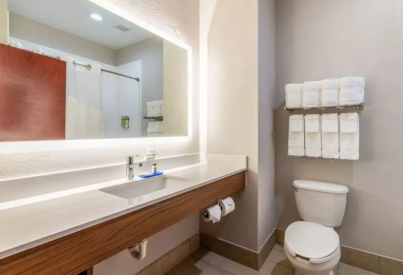 ２ダブルベッドのスタンダードルーム, Holiday Inn Express Hotel And Suites Statesville By Ihg