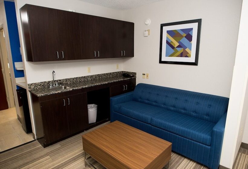 장애인을 위한 스위트, Holiday Inn Express Hotel And Suites Statesville By Ihg