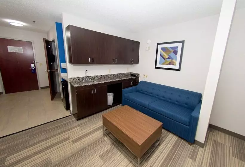 身障者適用スイートルーム, Holiday Inn Express Hotel And Suites Statesville By Ihg