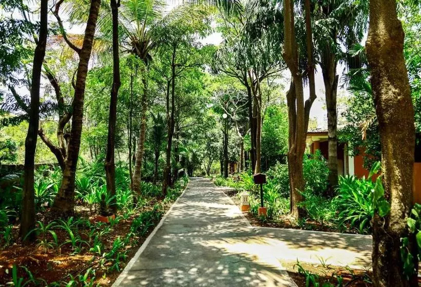 スイート, Blue Ocean The Fern Resort & Spa Ganpatipule