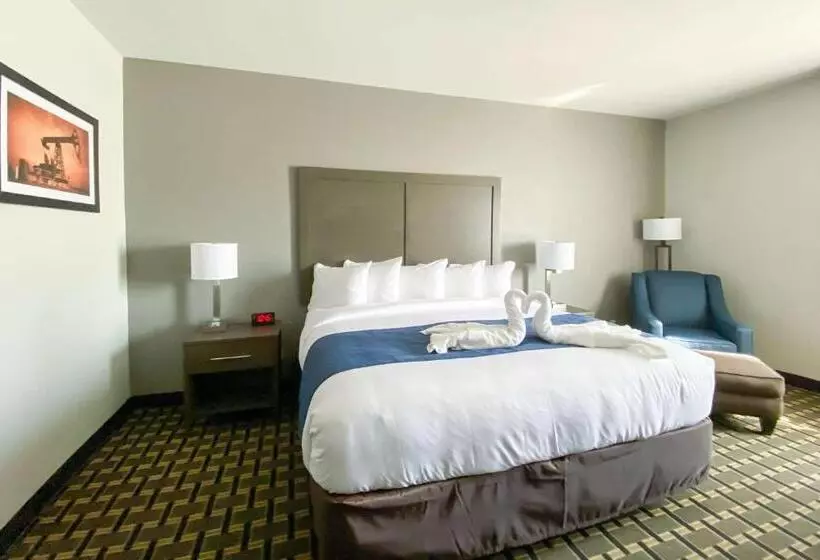キングサイズベッドのスタンダードルーム, Comfort Inn Owasso – Tulsa