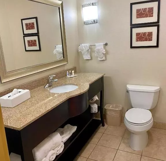 キングサイズベッドのスイートルーム, Comfort Suites Rock Hill Manchester Meadows Area