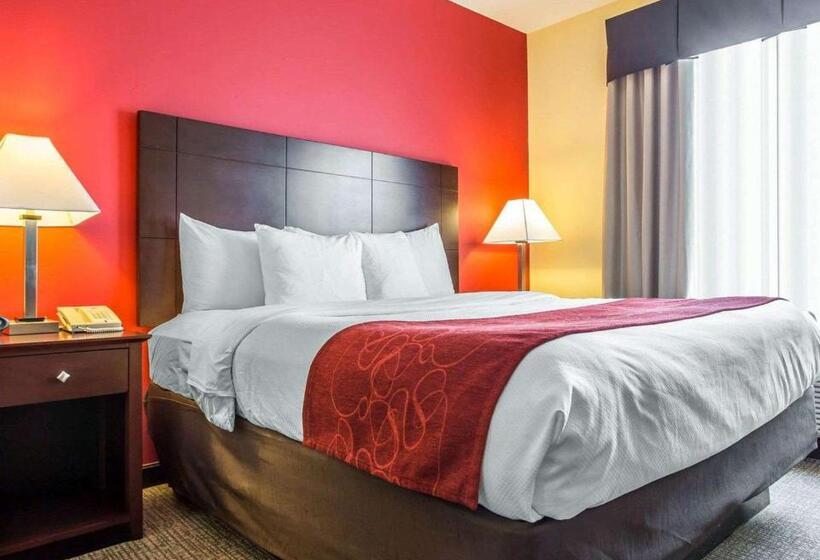 キングサイズベッドのスイートルーム, Comfort Suites Rock Hill Manchester Meadows Area