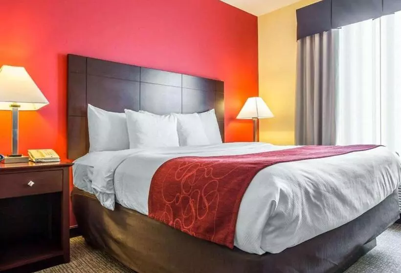 キングサイズベッドのスイートルーム, Comfort Suites Rock Hill Manchester Meadows Area