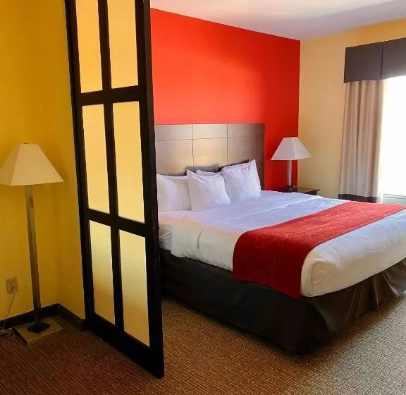 キングサイズベッドのスイートルーム, Comfort Suites Rock Hill Manchester Meadows Area