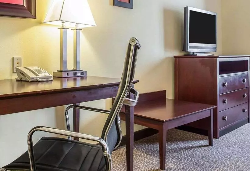 スイート, Comfort Suites Rock Hill Manchester Meadows Area