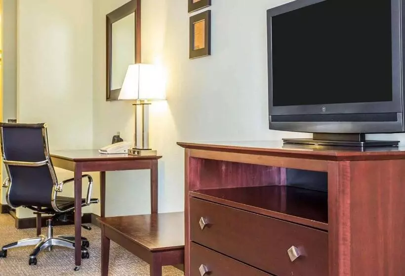 スイート, Comfort Suites Rock Hill Manchester Meadows Area