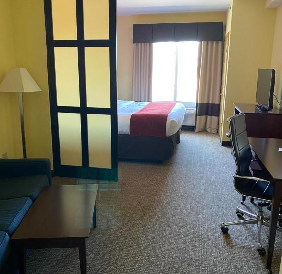 キングサイズベッドのスイートルーム, Comfort Suites Rock Hill Manchester Meadows Area