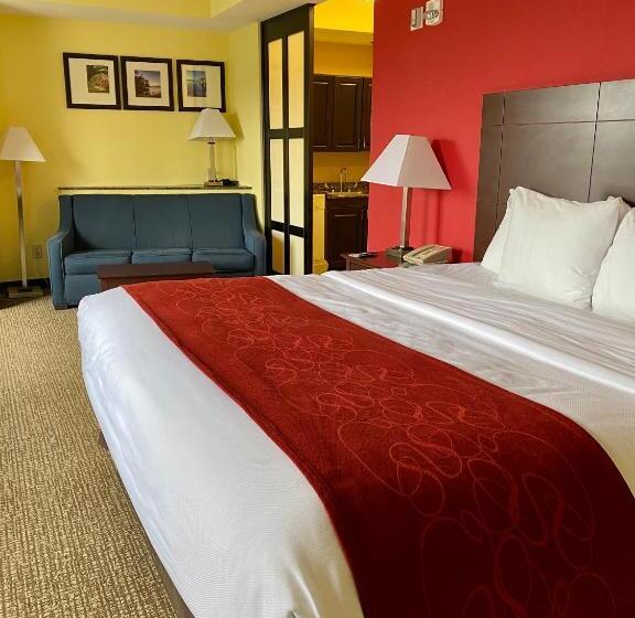 جناح لذوى الاحتياجات الخاصة, Comfort Suites Rock Hill Manchester Meadows Area