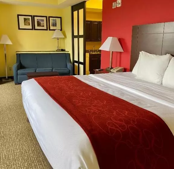 身障者適用スイートルーム, Comfort Suites Rock Hill Manchester Meadows Area