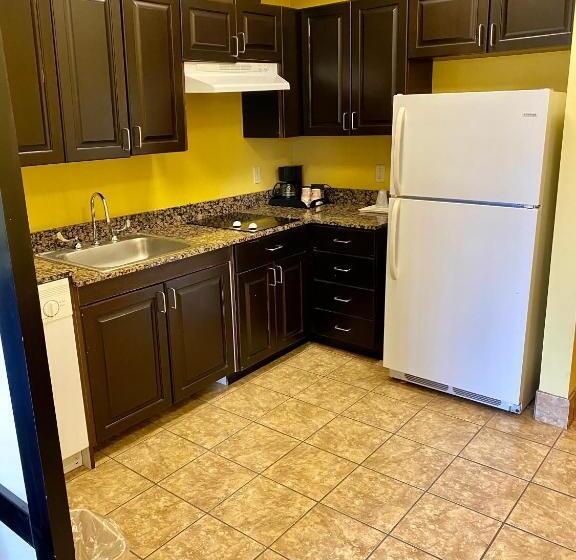 جناح لذوى الاحتياجات الخاصة, Comfort Suites Rock Hill Manchester Meadows Area