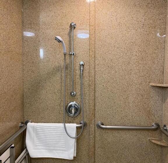 جناح لذوى الاحتياجات الخاصة, Comfort Suites Rock Hill Manchester Meadows Area