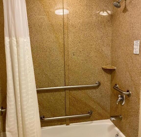 身障者適用スイートルーム, Comfort Suites Rock Hill Manchester Meadows Area
