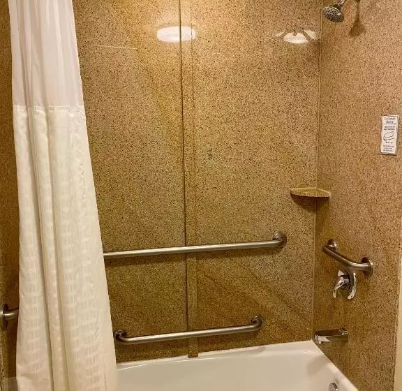 身障者適用スイートルーム, Comfort Suites Rock Hill Manchester Meadows Area