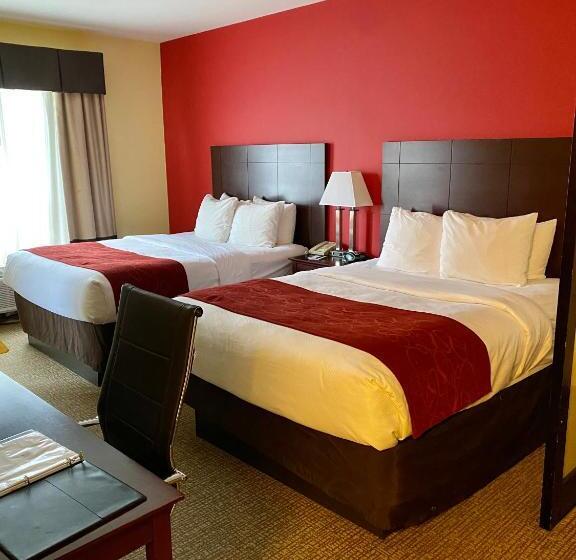 جناح لذوى الاحتياجات الخاصة, Comfort Suites Rock Hill Manchester Meadows Area