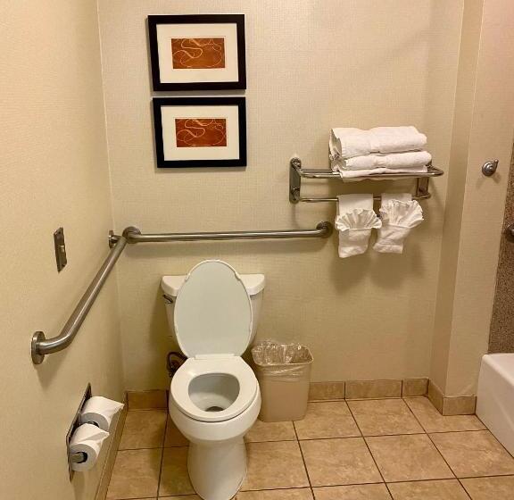 جناح لذوى الاحتياجات الخاصة, Comfort Suites Rock Hill Manchester Meadows Area