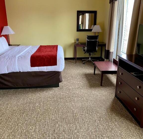 身障者適用スイートルーム, Comfort Suites Rock Hill Manchester Meadows Area