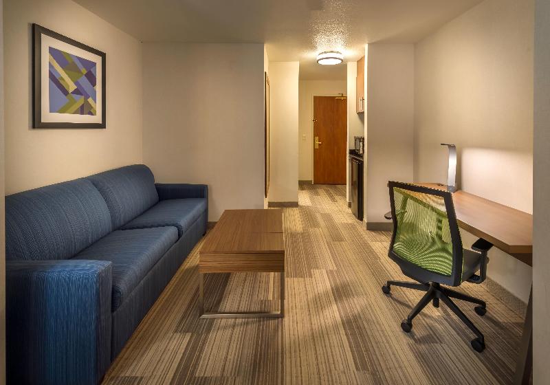 스위트 킹사이즈 침대, Holiday Inn Express Hotel & Suites Carson City, An Ihg