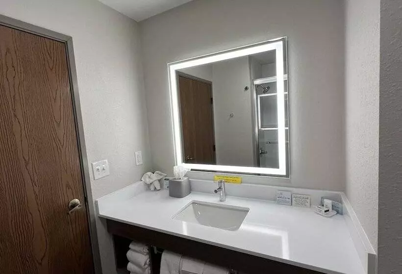 スタンダードルーム, Holiday Inn Express Hotel & Suites Dubois, An Ihg