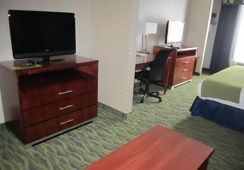 キングサイズベッドのスタンダードルーム, Holiday Inn Express Hotel & Suites Dubois, An Ihg