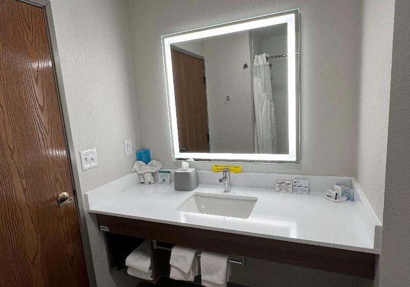 غرفة قياسية سرير كينج, Holiday Inn Express Hotel & Suites Dubois, An Ihg