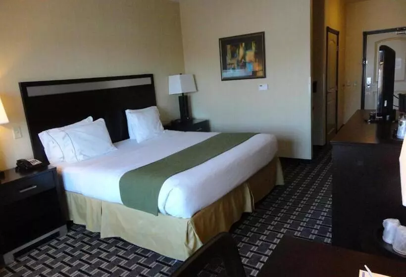 障害者適応デラックスルーム, Holiday Inn Express And Suites Limerick Pottstown, An Ihg