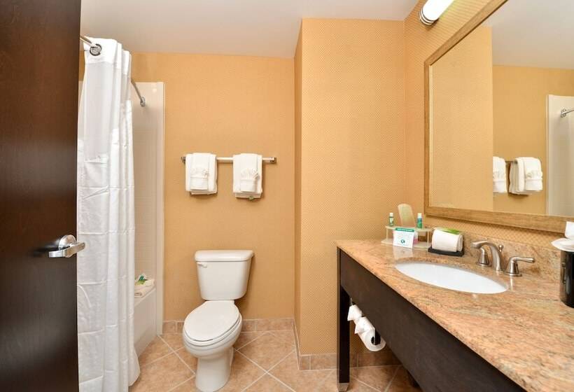 חדר סטנדרט, Holiday Inn Express Columbia, An Ihg