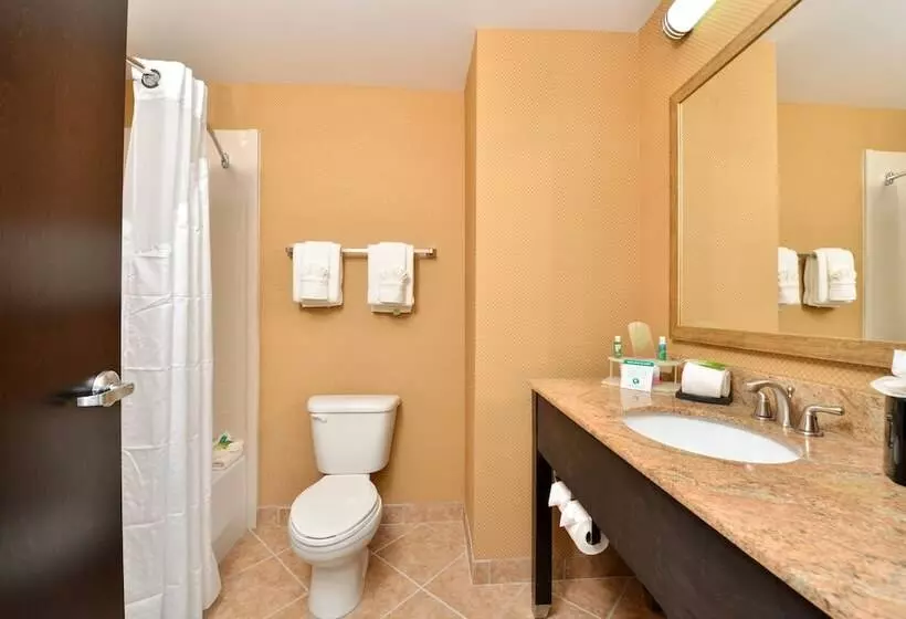 スタンダードルーム, Holiday Inn Express Columbia, An Ihg