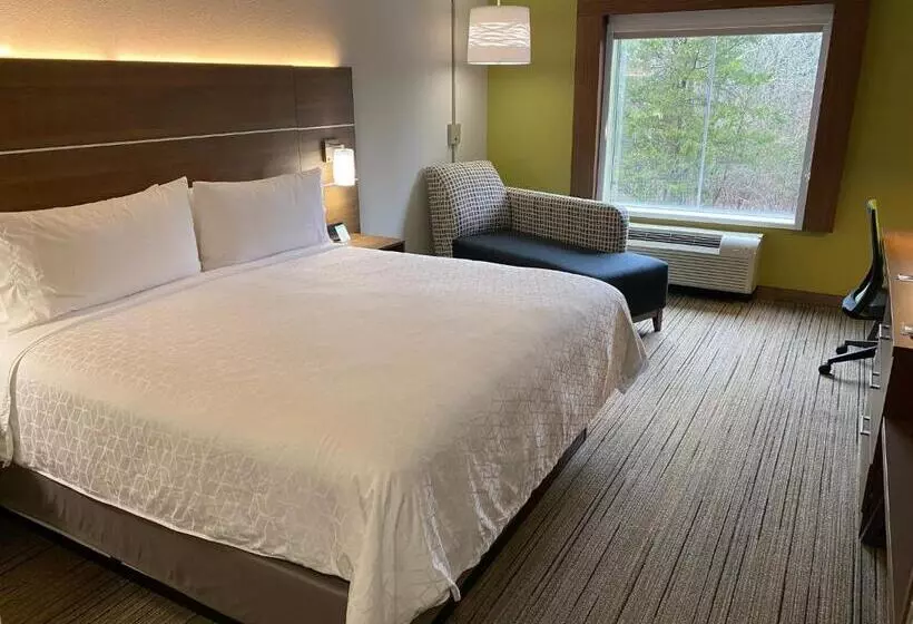 キングサイズベッドのスタンダードルーム, Holiday Inn Express Columbia, An Ihg