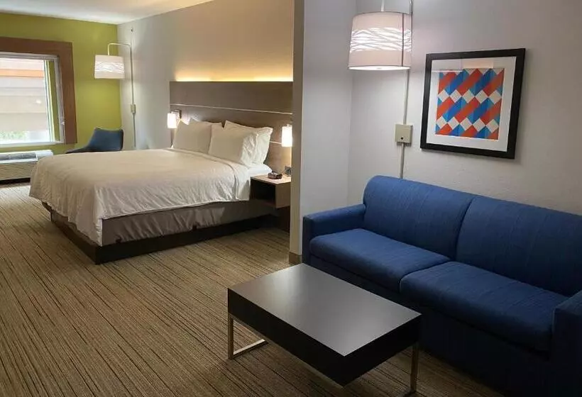 キングサイズベッドのスイートルーム, Holiday Inn Express Columbia, An Ihg
