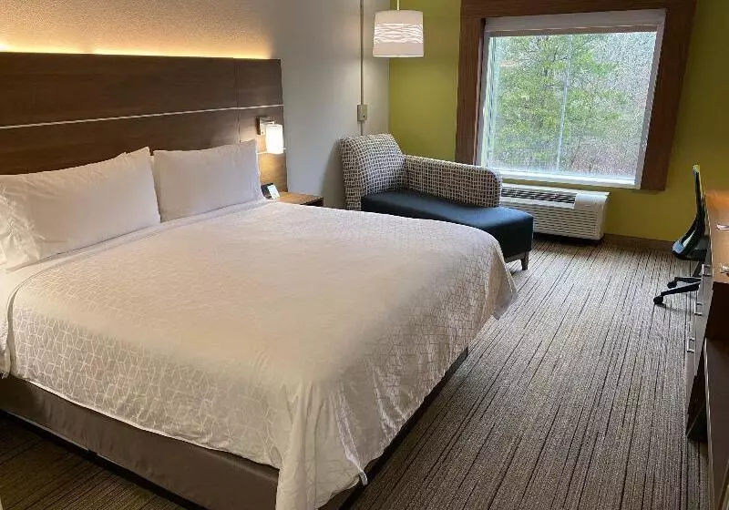 キングサイズベッドのスタンダードルーム, Holiday Inn Express Columbia, An Ihg