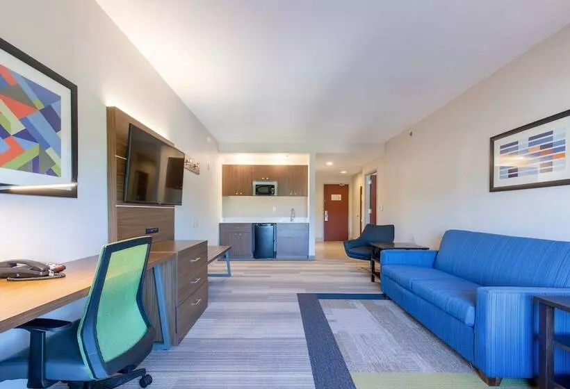 身障者適用スイートルーム, Holiday Inn Express Johnson City, An Ihg